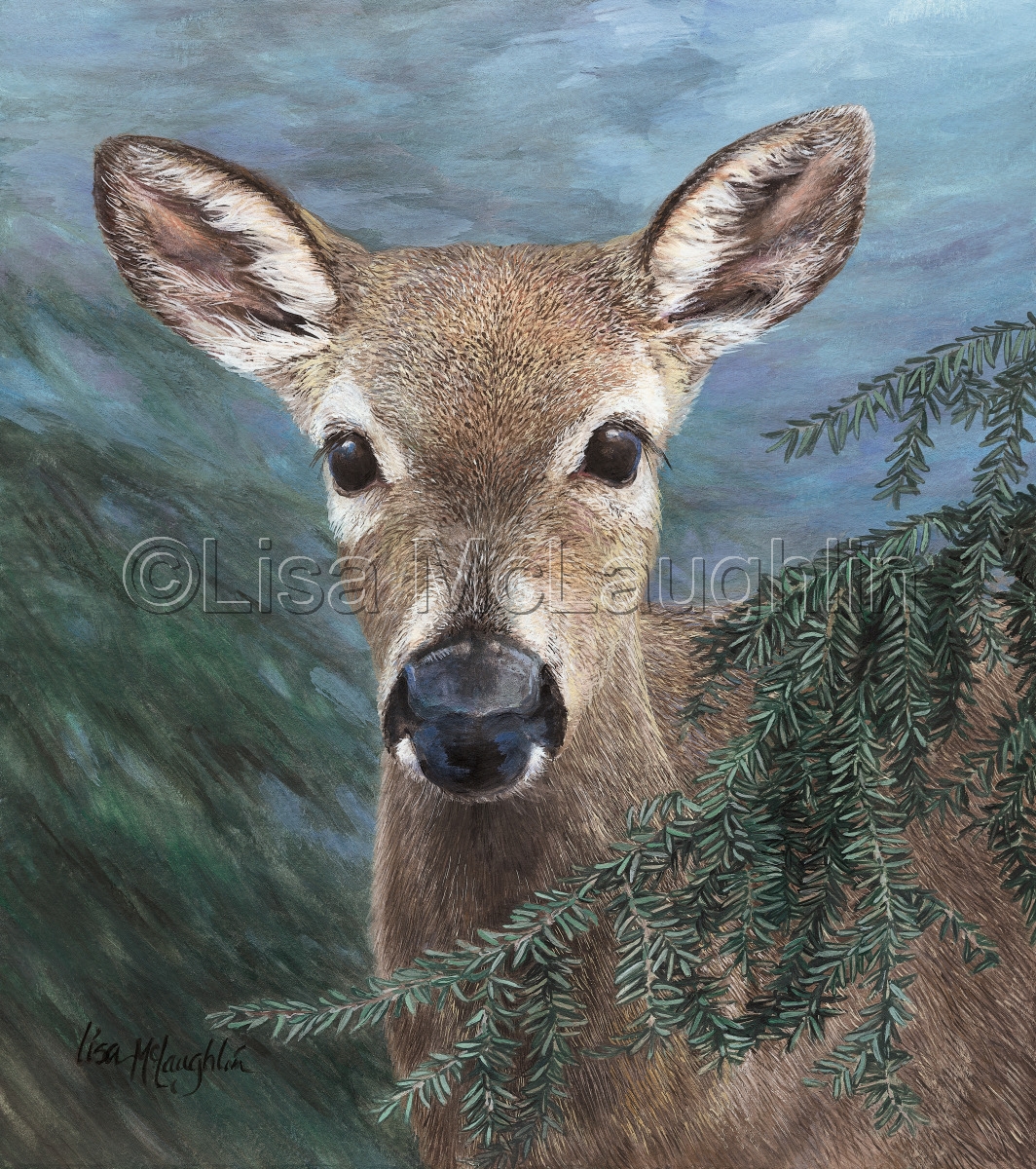 1064x1200 Painting Doe Peeking Through Hemlocks (Original Art By Lisa - Doe Painting