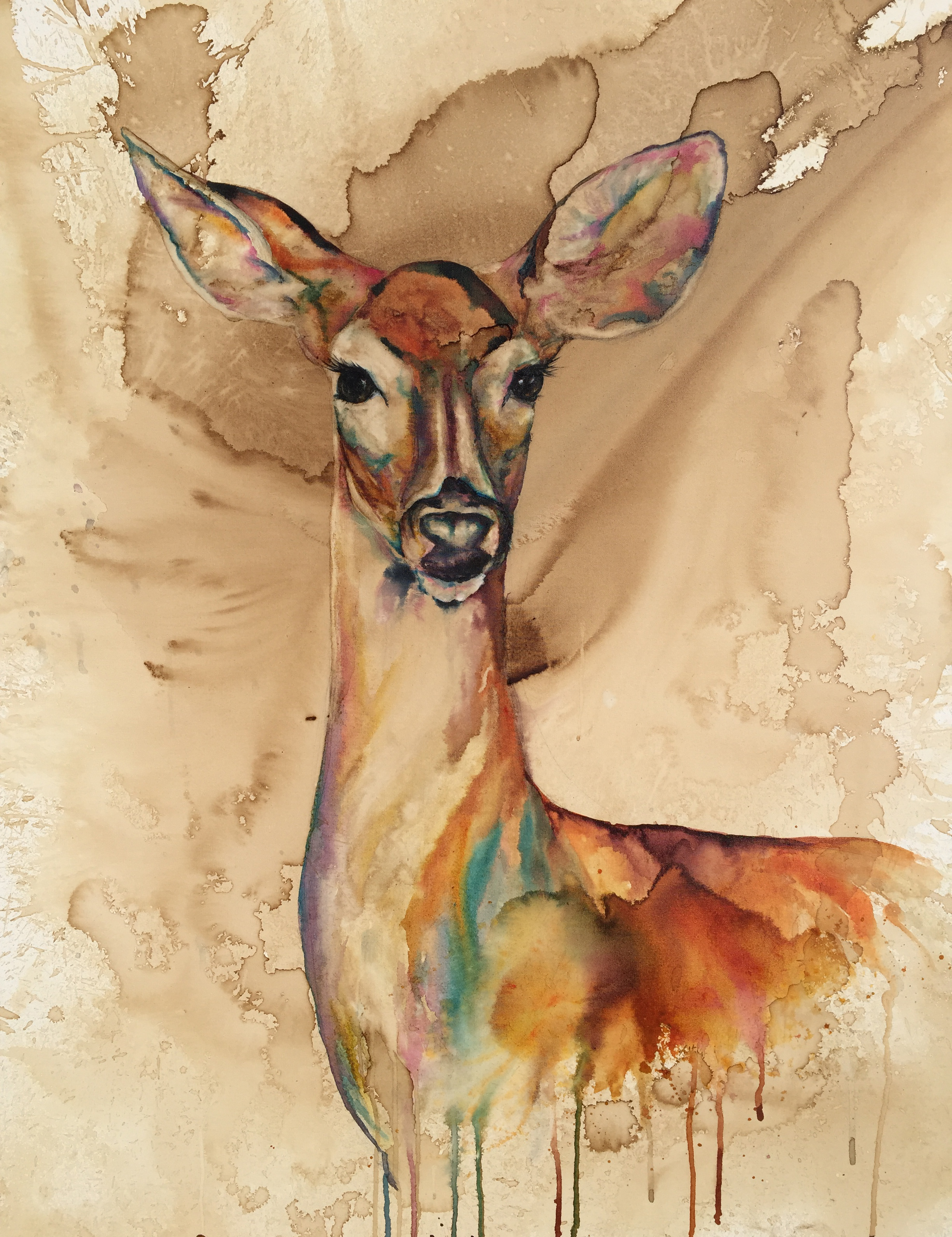 2448x3180 Recent Works Christy Studios Page 2 - Doe Painting