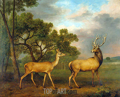 400x323 Red Deer, A Buck And A Doe George Stubbs Painting Reproduction - Doe Painting
