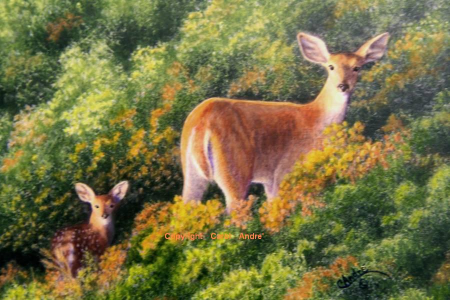 900x600 Art By Andre' Afc, Ama, Masf Puppies And Miniature Painting Doe - Doe Painting