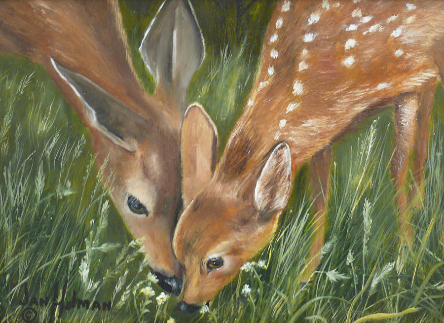 900x655 Sweet Doe And Little Fawn Painting By Jan Holman - Doe Painting
