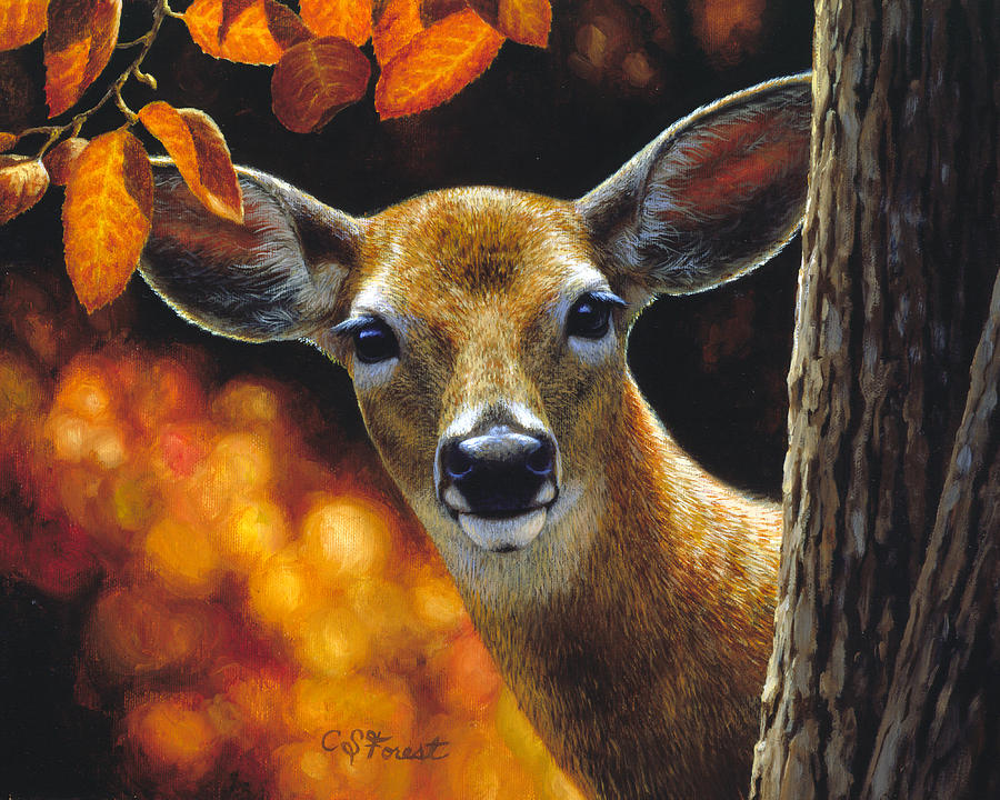 900x720 Whitetail Deer - Doe Painting