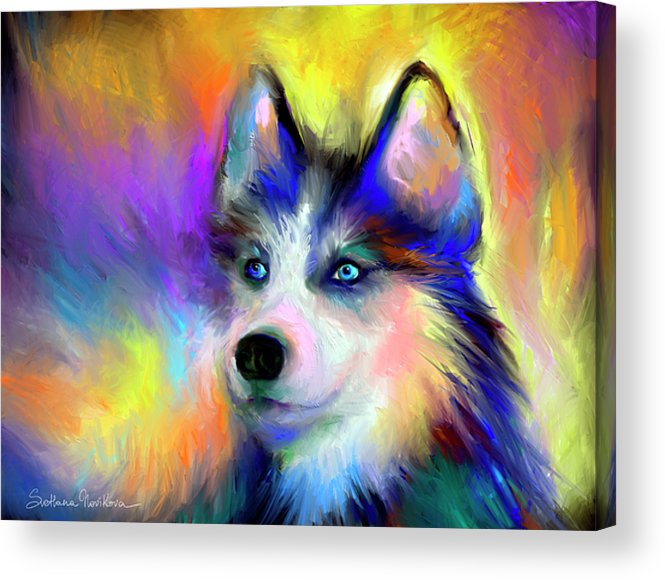 665x580 Electric Siberian Husky Dog Painting Acrylic Print By Svetlana - Dog Abstract Painting