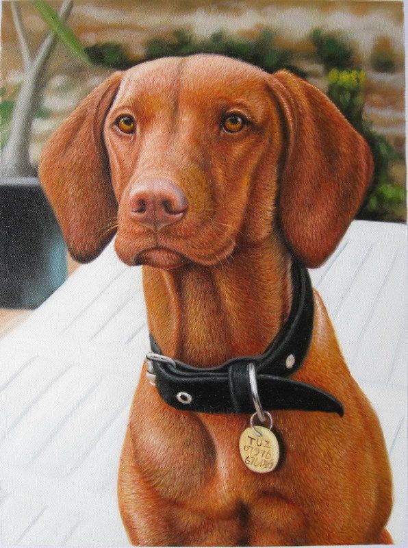 596x800 Dog Painting,cat Painting,oil Paintings,sinoorigin - Dog And Cat Painting