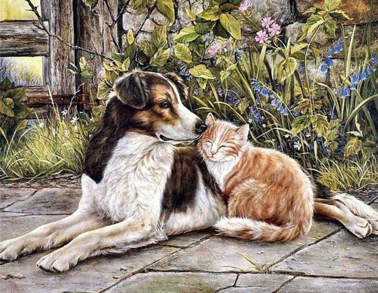 736x570 The 273 Best Cats By Debbie Cook Images On Kitty Cats - Dog And Cat Painting