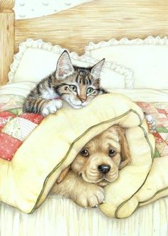 236x332 66 Best Dog Amp Cat Painting Images - Dog And Cat Painting