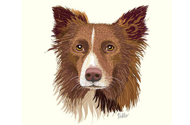 637x421 Top 10 Pet Paintings To Hang In Your Home - Dog Canvas Painting