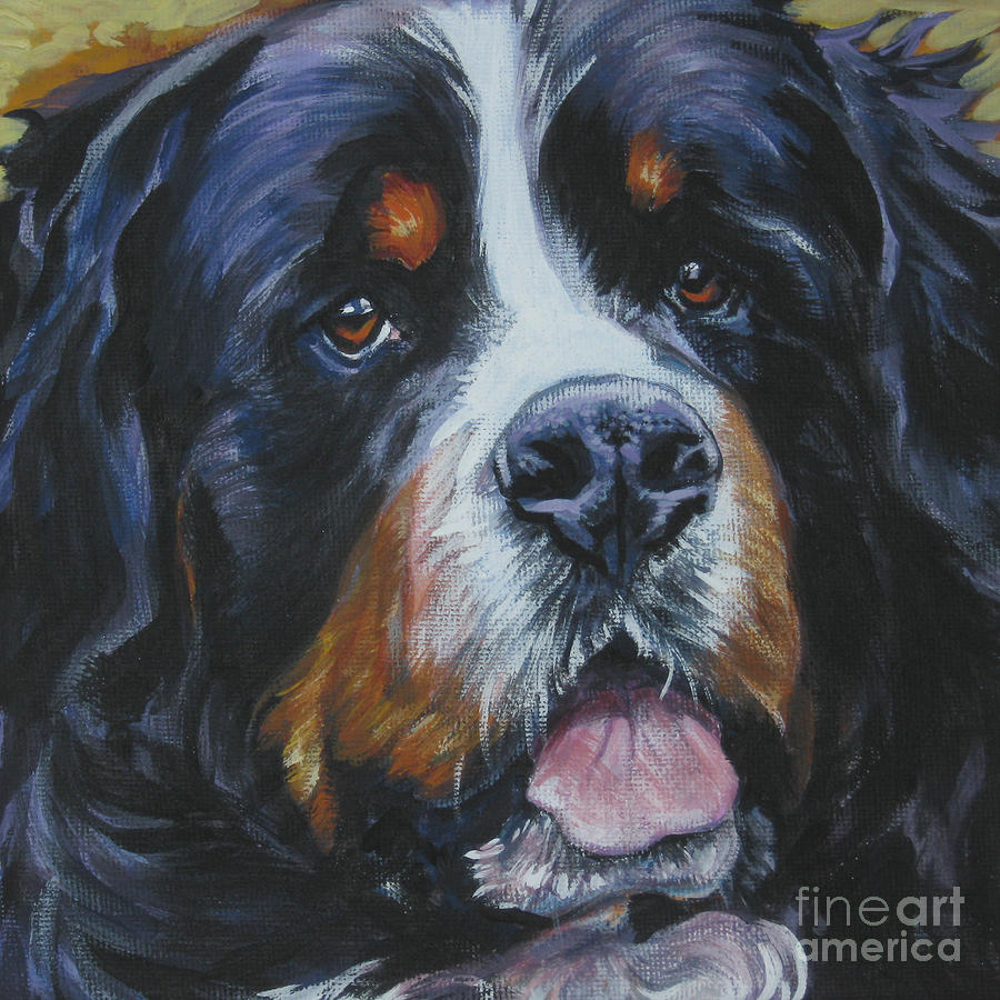 900x900 Bernese Mountain Dog Head Study Painting By Lee Ann Shepard - Dog Head Painting