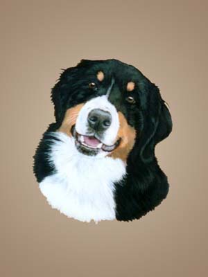 300x400 Dog Portraits - Dog Head Painting