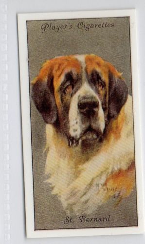 298x500 24 St Bernard - Dog Head Painting