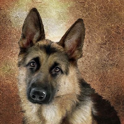 400x400 German Shepherd Dog Head Painting Card - Dog Head Painting