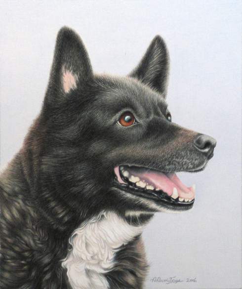 490x585 Anne Armitage Ottawa,dog Portraits, Dog Paintings,pet Commissions - Dog Head Painting