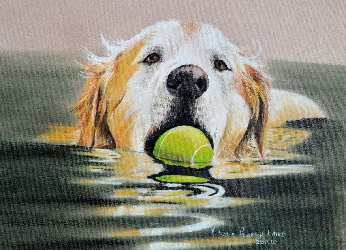 Dog Looking At Tennis Ball Painting at PaintingValley.com | Explore