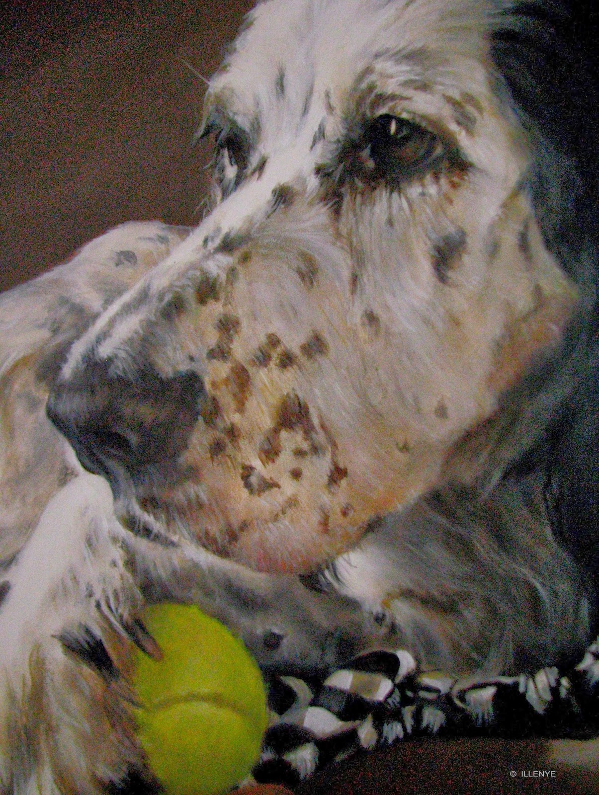 Dog Looking At Tennis Ball Painting at PaintingValley.com | Explore collection of Dog Looking At