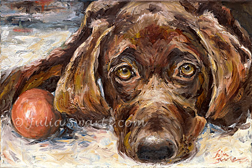 500x335 Julia Swartz Fine Art Gallery Puppy Eyes - Dog Oil Painting