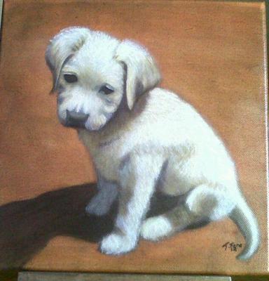 384x400 Cat Pictures And Dog Oil Paintings From Artists Here On Easy Oil - Dog Oil Painting