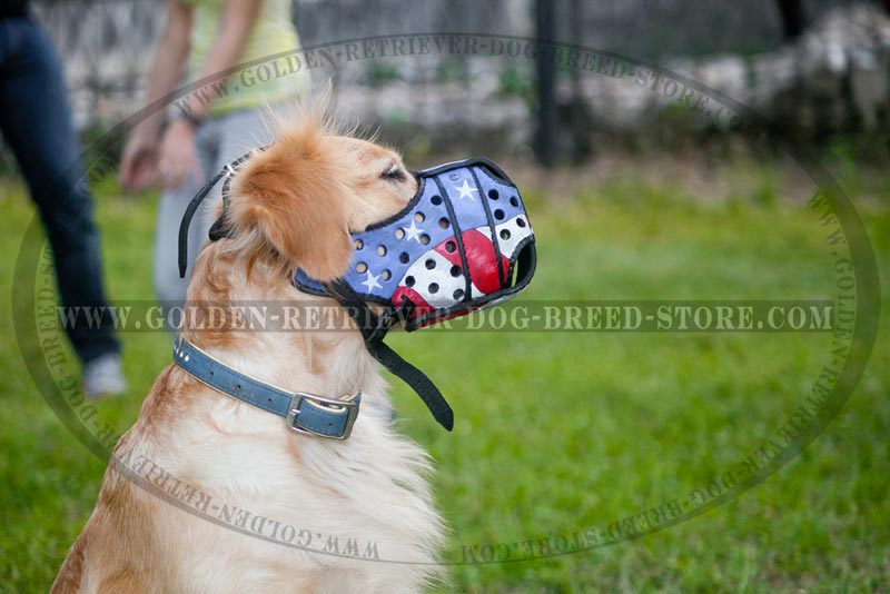 800x534 Designer Leather Golden Retriever Muzzle With American Flag - Dog On A Leash Painting