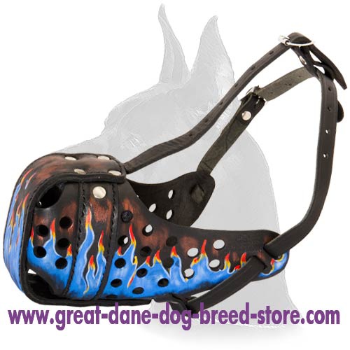 500x500 Hand Painted Agitation Leather Muzzle For Great Dane [M77bf1031 - Dog On A Leash Painting