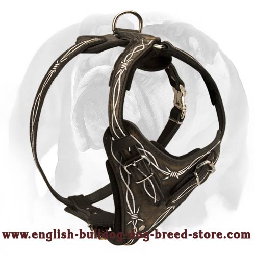 500x500 Astonishing English Bulldog Leather Harness With Barbed Wire - Dog On A Leash Painting