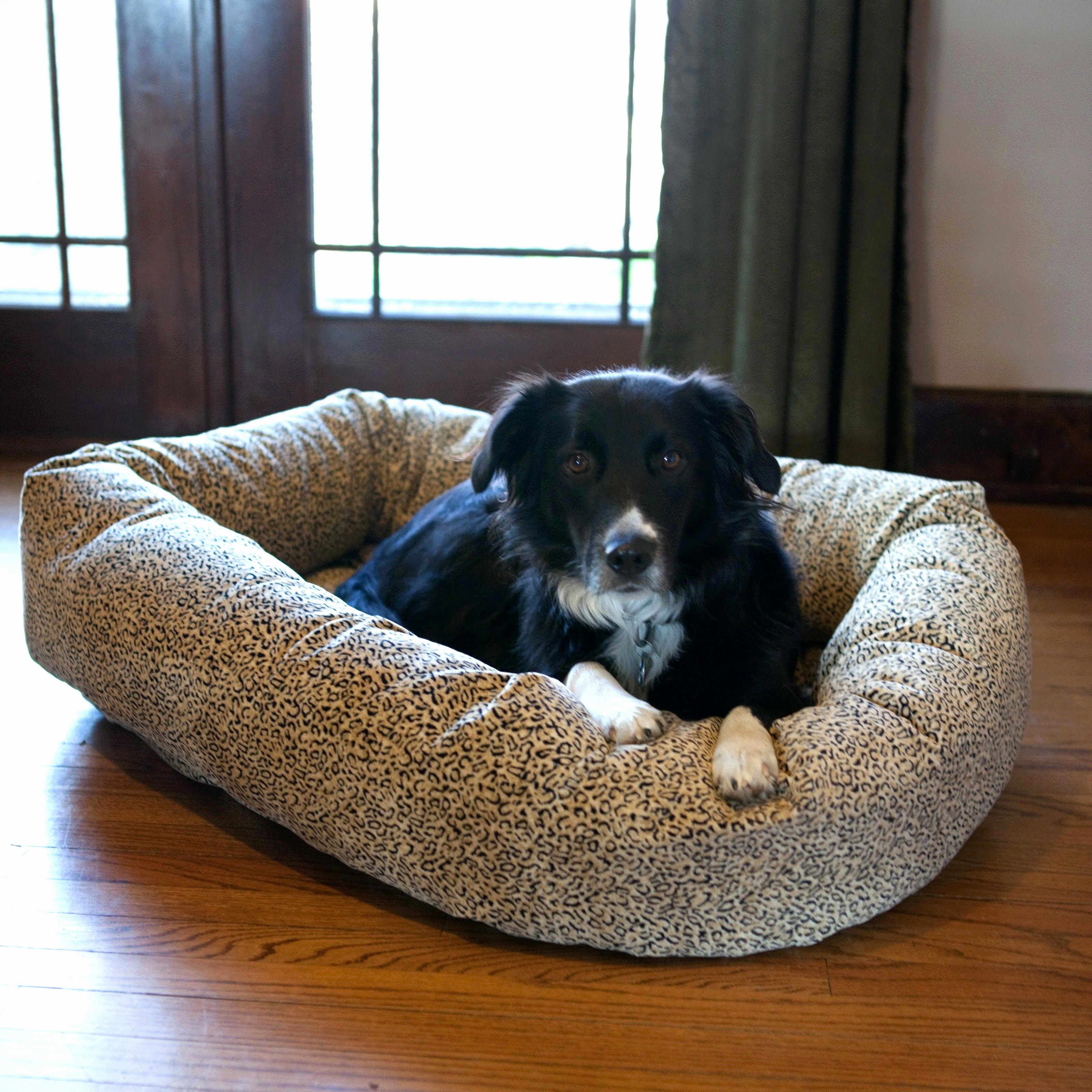 3200x3200 Dog On Bed Painting Best Of Gordmans Dog Beds Awesome Dog Sleeping - Dog On Bed Painting