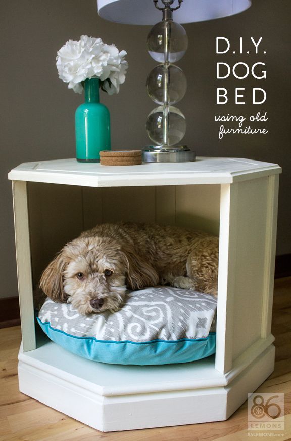 576x871 Furniture Makeovers Dog Beds, Repurpose And Clever - Dog On Bed Painting