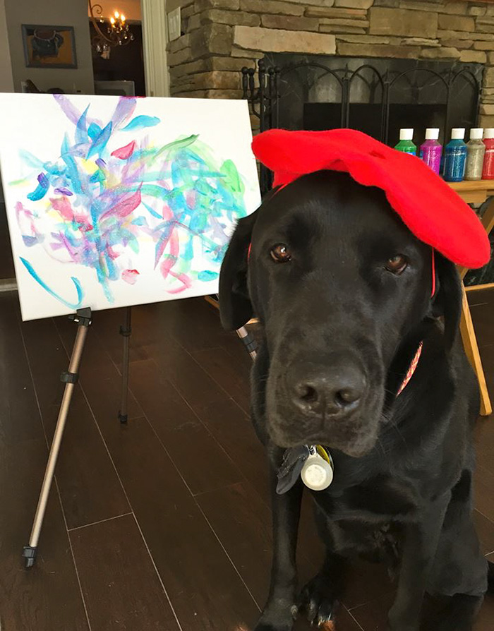 700x894 Meet Dogvinci, The Painting Dog That Sells His Art For Good Money - Dog Painting
