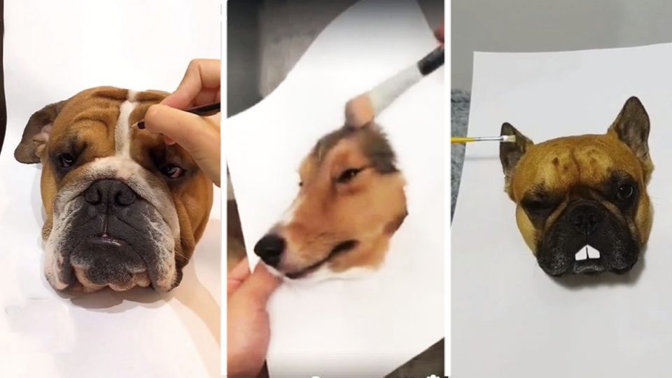 960x540 3d Dog Painting Trend That's Too Real To Be True [Video] - Dog Painting