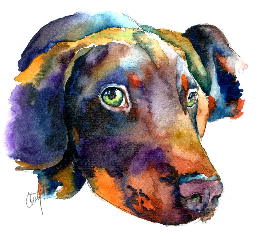 900x816 Doberman Watercolor Painting By Christy Freeman - Dog Painting