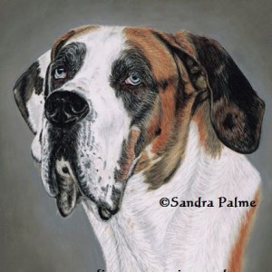 300x300 Dog Portraits By Dog Portrait Artist And Dog Painting Artist - Dog Painting Artist