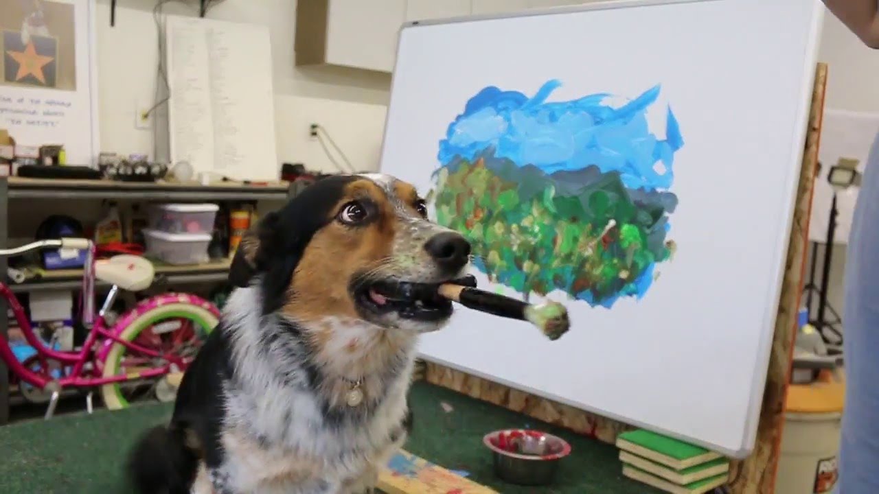 1280x720 Jumpy Dog Art ! - Dog Painting Artist