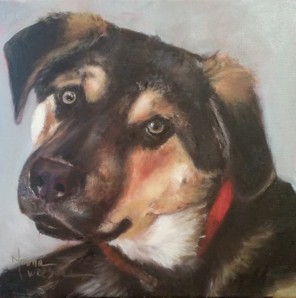 994x1000 Norma Wilson Original Oil Custom Pet Portrait Dog Painting Art By - Dog Painting Artist