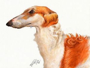 300x229 Original Oil Dog Portrait Painting Art Borzoi Artwork Artist - Dog Painting Artist
