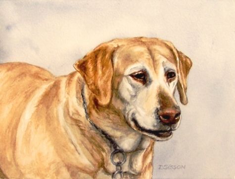 475x363 Pin Maggie Amp Me Taulussa Ruff Art - Dog Painting Artist