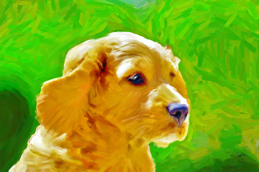 900x599 Young Golden Retriever Art Original Dog Art Dog Painting Art Print - Dog Painting Artist