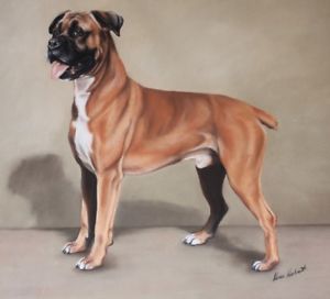 300x272 Boxer Dog Painting By Karen Herbert Animal Artist. Large Signed - Dog Painting Artist