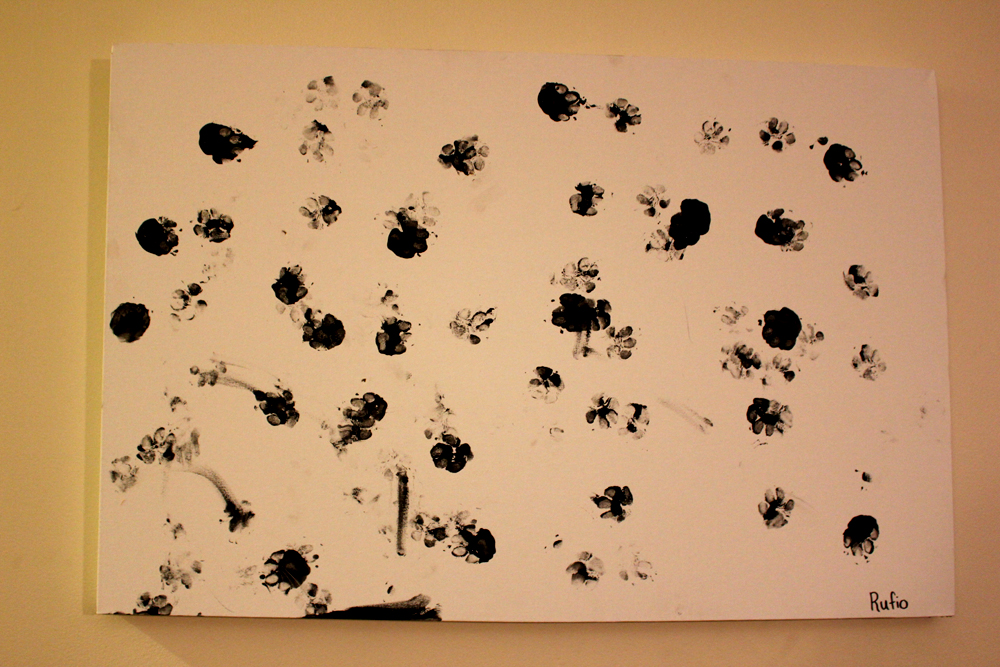 1000x667 Diy Dog Art Paw Painting Treats A La Bark - Dog Paw Painting