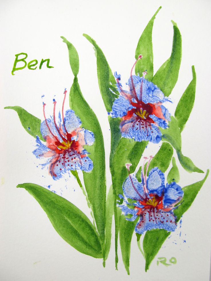 736x981 Safe Paints To Use For Making A Dog Paw Print Paw - Dog Paw Painting