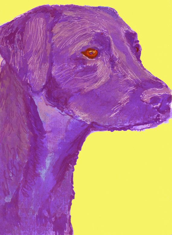 570x777 Labrador Dog Print, Purple With Yellow Background, Lab Art, Lab - Dog Print Painting