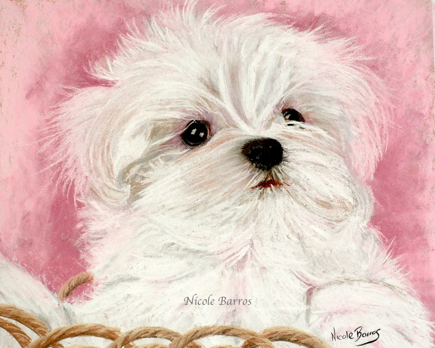 1500x1200 Last Chance Pictures Of Puppies To Print Better Maltese Dog Puppy - Dog Print Painting