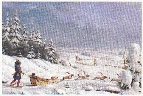 480x324 Historical Freight Dogs White Oak Society - Dog Sled Painting