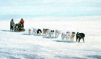 400x235 Journal Of The Inuit Sled Dog International - Dog Sled Painting
