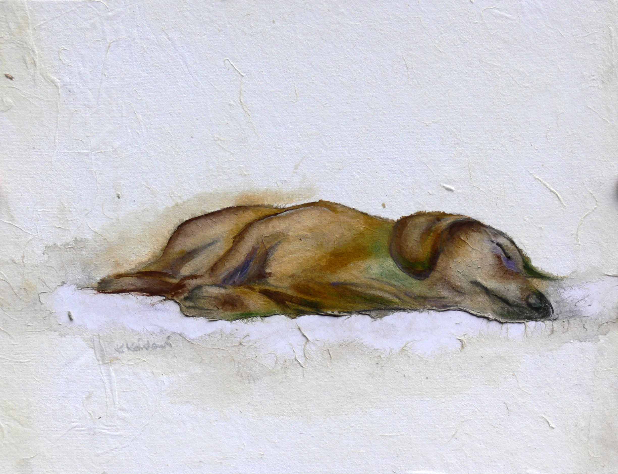 Dog Sleeping On Bed Painting At PaintingValley Com Explore Collection   Dog Sleeping On Bed Painting 21 