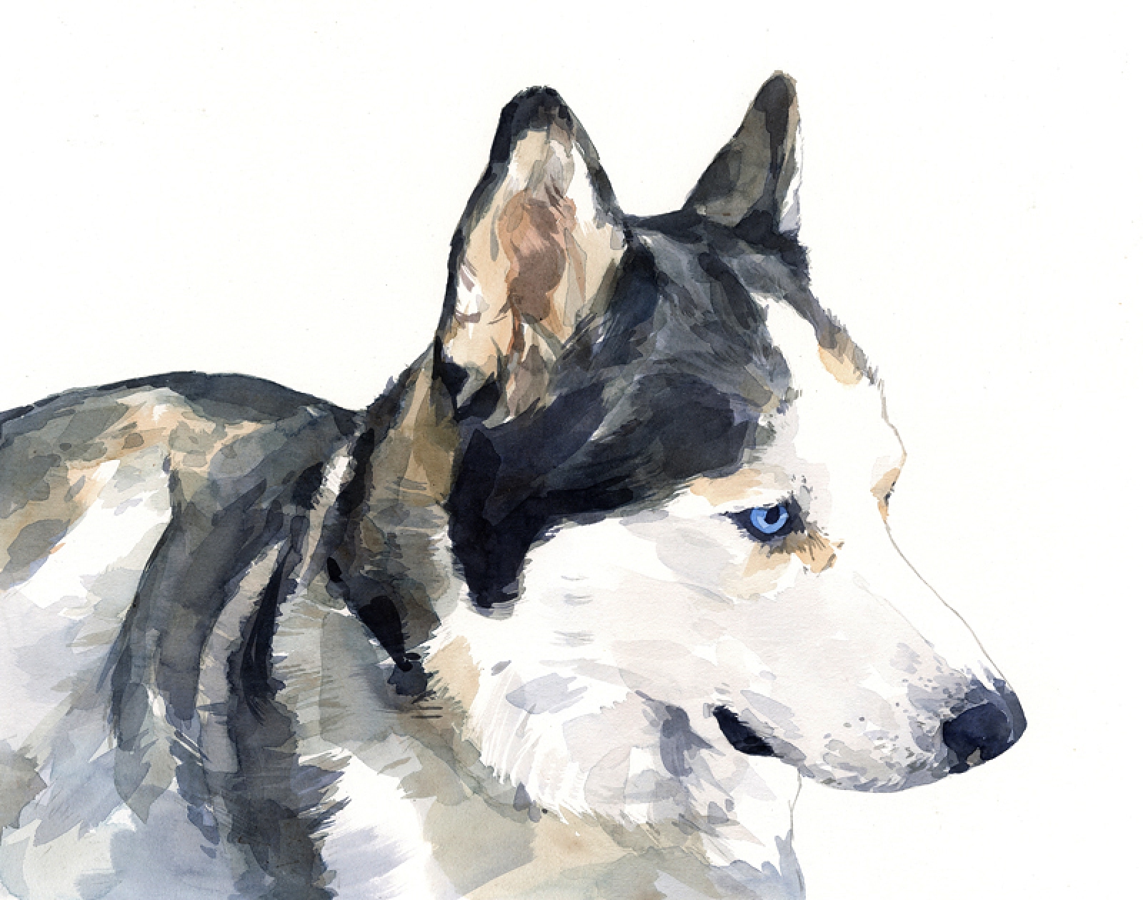 Dog Watercolor Painting