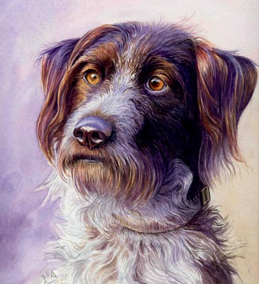 365x400 Drahthaar Dog Portrait, Watercolor Art Tutorial - Dog Watercolor Painting