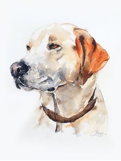 236x314 450 Best Watercolor Dog Portrait Images - Dog Watercolor Painting