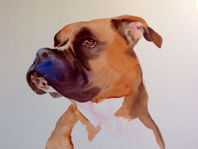 640x482 Paint Your Pup! Create Artistic Watercolor Pet Portraits - Dog Watercolor Painting