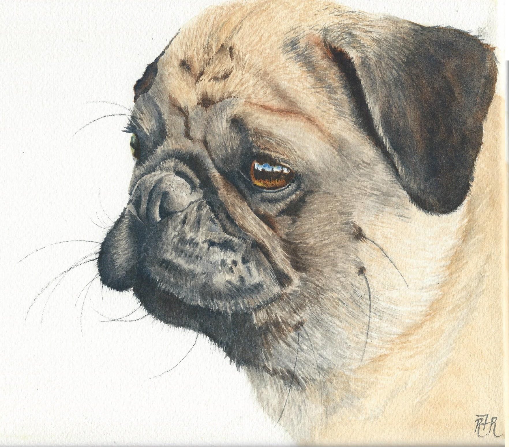 1764x1552 Watercolor Painting Tutorial - Dog Watercolor Painting