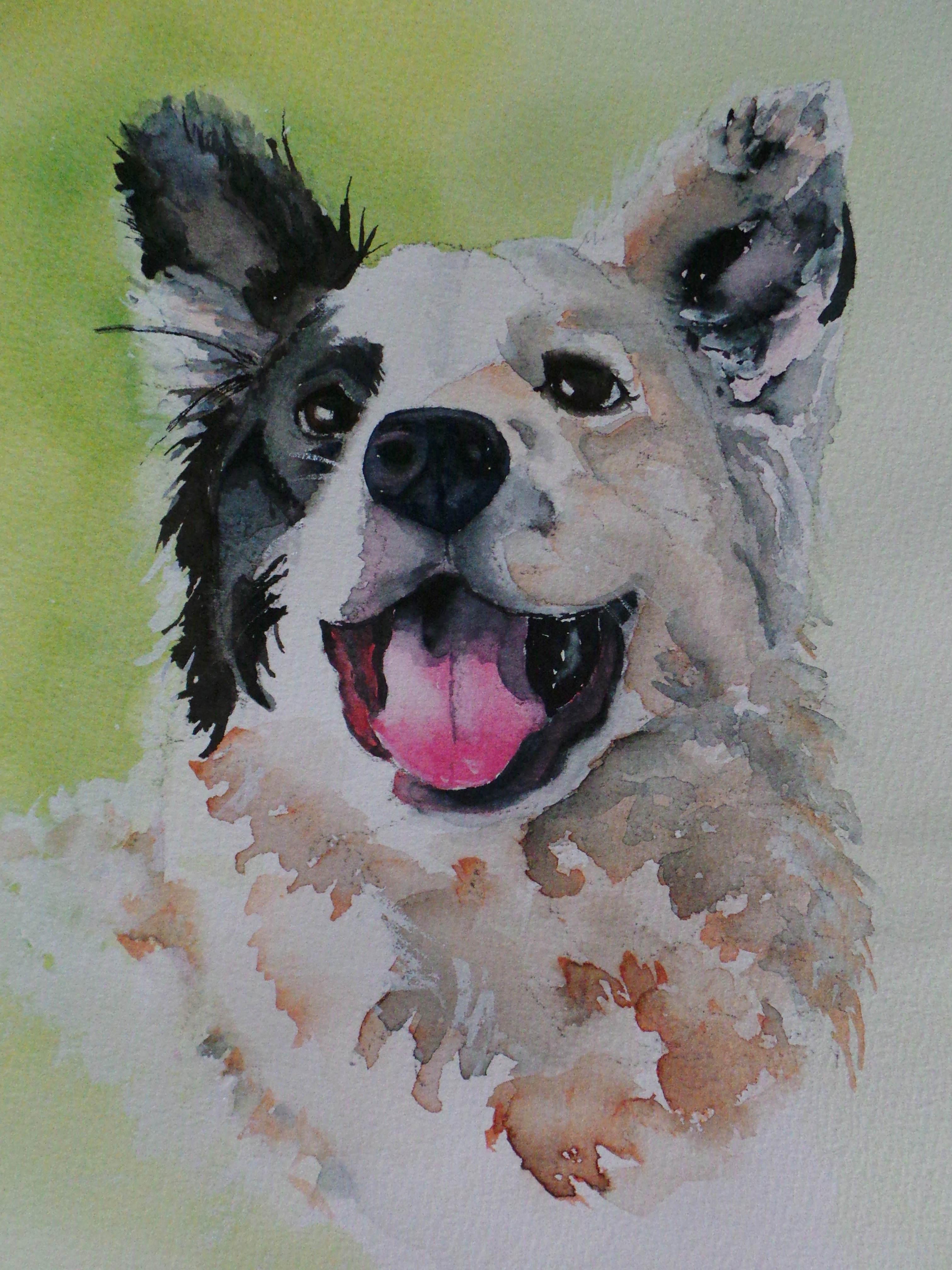 3022x4032 Border Collie Annette Bennett Watercolor Art - Dog Watercolor Painting