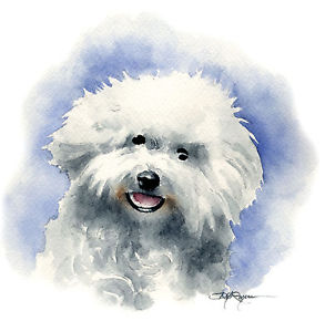 293x300 Bolognese Dog Watercolor Painting 8 X 10 Art Print Signed Djr Ebay - Dog Watercolor Painting
