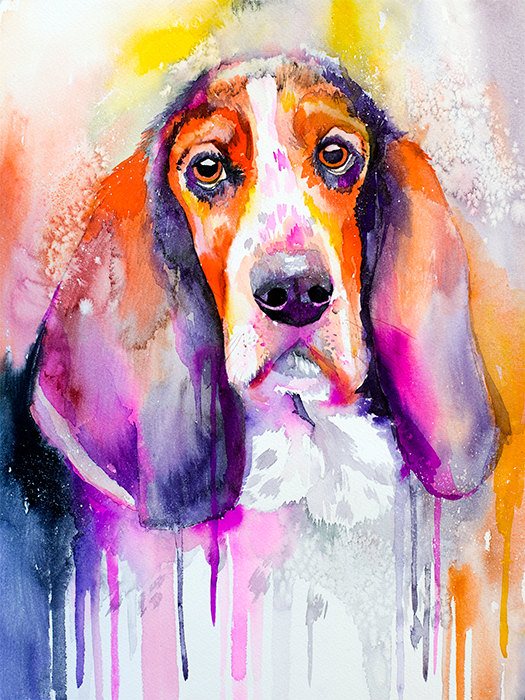 525x700 Basset Dog Watercolor Painting Print By Slaveika Aladjova - Dog Watercolor Painting